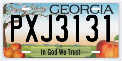GA license plate PXJ3131