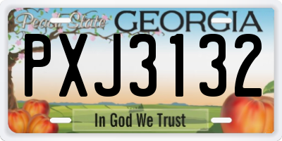 GA license plate PXJ3132