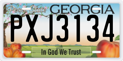 GA license plate PXJ3134