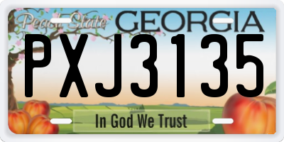 GA license plate PXJ3135