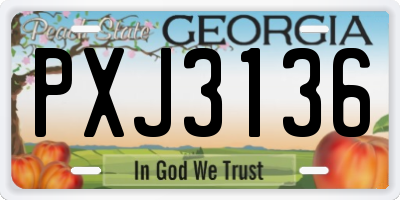GA license plate PXJ3136