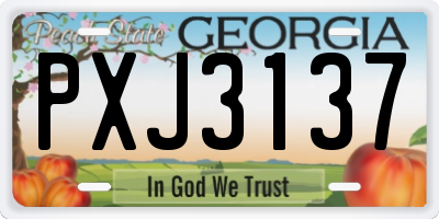 GA license plate PXJ3137