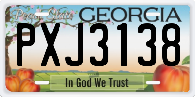 GA license plate PXJ3138