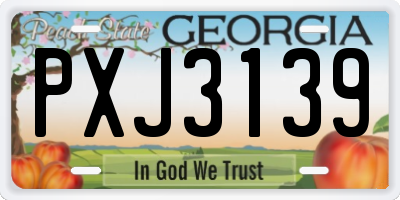 GA license plate PXJ3139