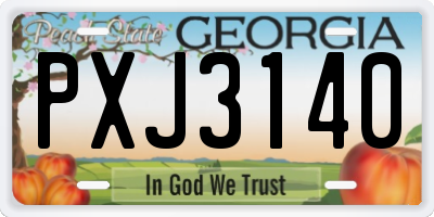 GA license plate PXJ3140