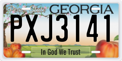 GA license plate PXJ3141