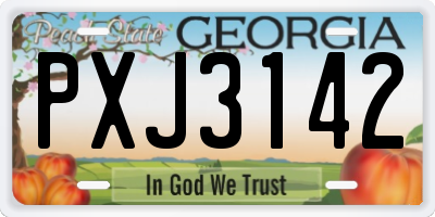 GA license plate PXJ3142