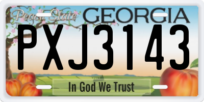 GA license plate PXJ3143
