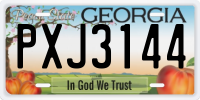 GA license plate PXJ3144