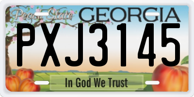 GA license plate PXJ3145