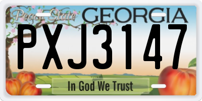 GA license plate PXJ3147