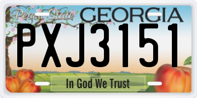 GA license plate PXJ3151