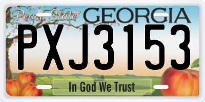 GA license plate PXJ3153