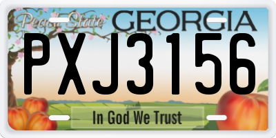 GA license plate PXJ3156