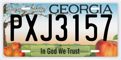 GA license plate PXJ3157