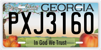 GA license plate PXJ3160