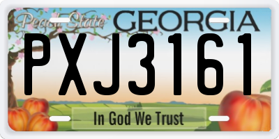 GA license plate PXJ3161