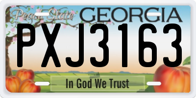 GA license plate PXJ3163