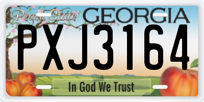 GA license plate PXJ3164