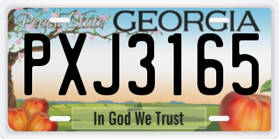 GA license plate PXJ3165