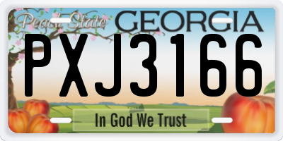 GA license plate PXJ3166