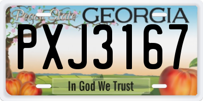 GA license plate PXJ3167
