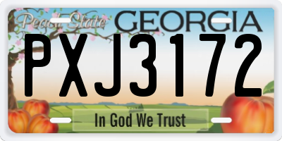 GA license plate PXJ3172