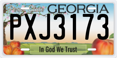 GA license plate PXJ3173