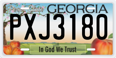 GA license plate PXJ3180