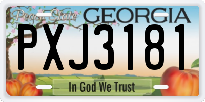 GA license plate PXJ3181