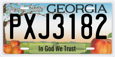 GA license plate PXJ3182