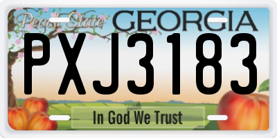 GA license plate PXJ3183