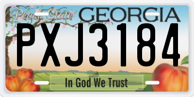 GA license plate PXJ3184
