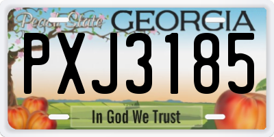 GA license plate PXJ3185