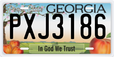 GA license plate PXJ3186
