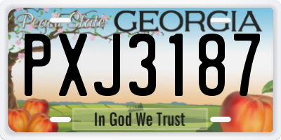 GA license plate PXJ3187