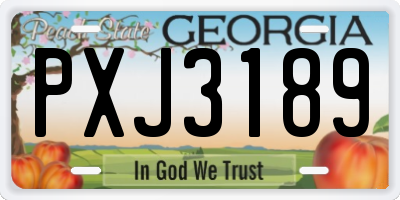 GA license plate PXJ3189