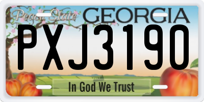 GA license plate PXJ3190