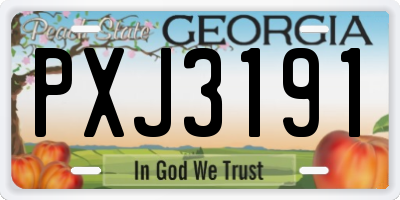 GA license plate PXJ3191