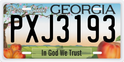 GA license plate PXJ3193