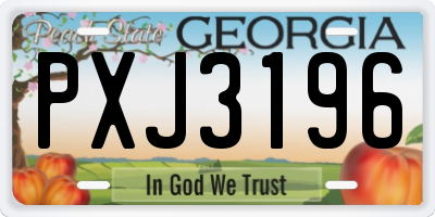 GA license plate PXJ3196