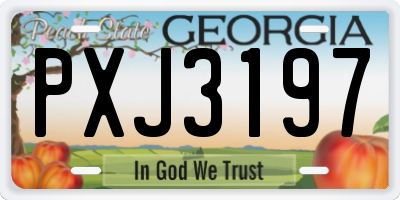 GA license plate PXJ3197