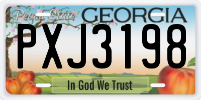 GA license plate PXJ3198