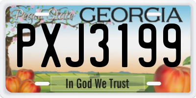 GA license plate PXJ3199