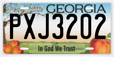 GA license plate PXJ3202