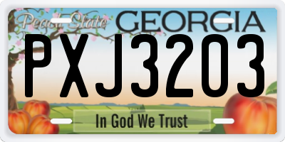 GA license plate PXJ3203