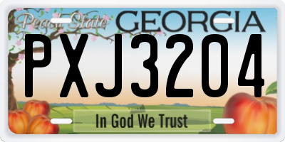 GA license plate PXJ3204