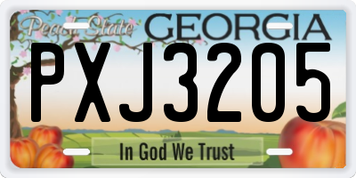 GA license plate PXJ3205