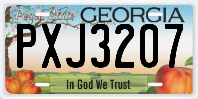 GA license plate PXJ3207
