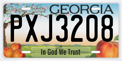 GA license plate PXJ3208